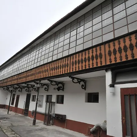 Jeleň